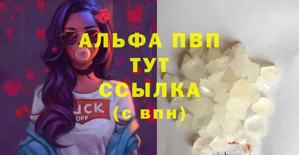 тгк Алзамай