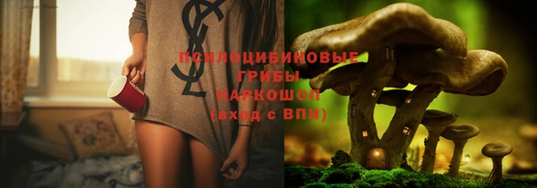 спиды Алексин