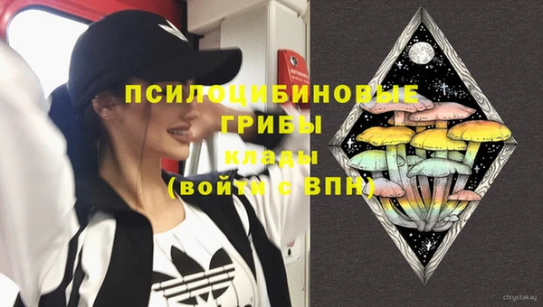 амф Алексеевка