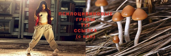 тгк Алзамай