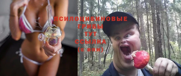 тгк Алзамай