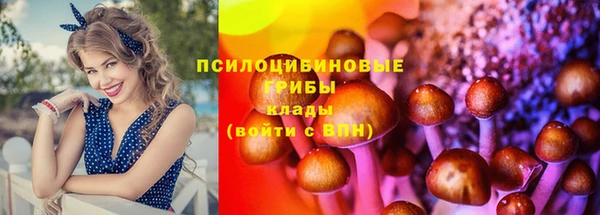 амф Алексеевка
